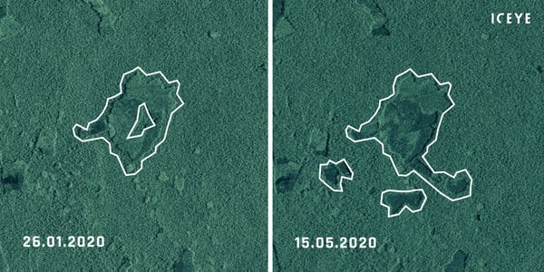 19785-28211-Calamar-defprestation-compared-a