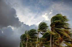 Atlantic hurricane season 2024 wrap-up: trends, impacts, and future risks