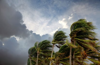 Atlantic hurricane season 2024 wrap-up: trends, impacts, and future risks