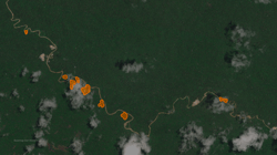 ICEYE’s Deforestation Solution: 9 Essential Questions