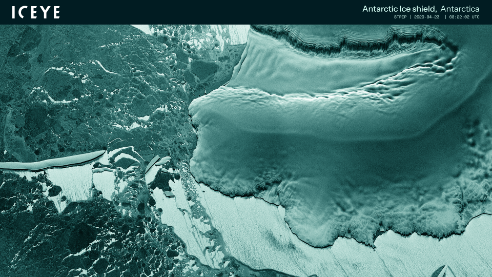 ICEYE cooperates with WWF to protect ‘blue corridors’ - whales’ migration routes in the Arctic