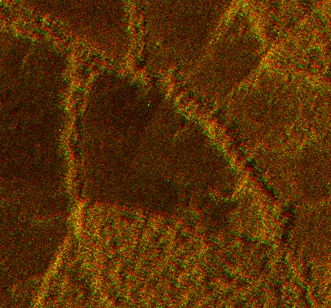 Spatial Alignment Example Easy Spatial Alignment of ICEYE SAR Data for Machine Learning