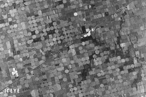 BD_Jan_Dataset_Copeland_Montezuma_overview-BW