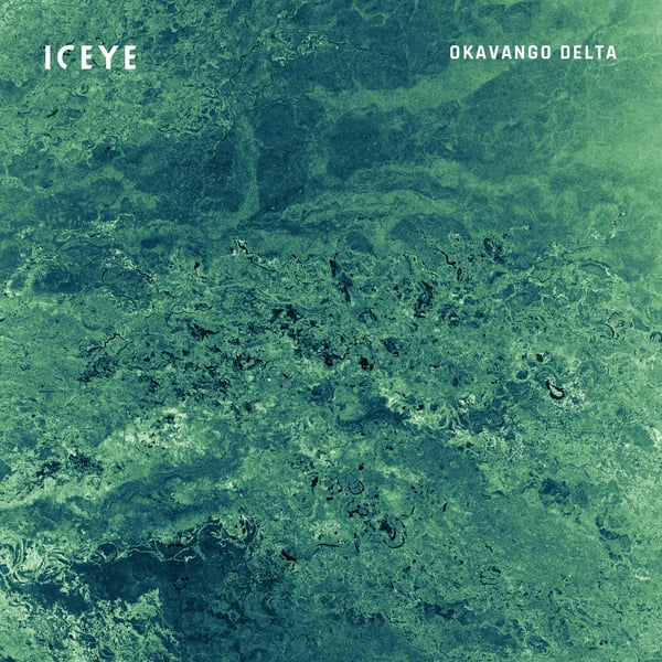 ICEYE_SAR_Satellite_Image_Okavango_Delta