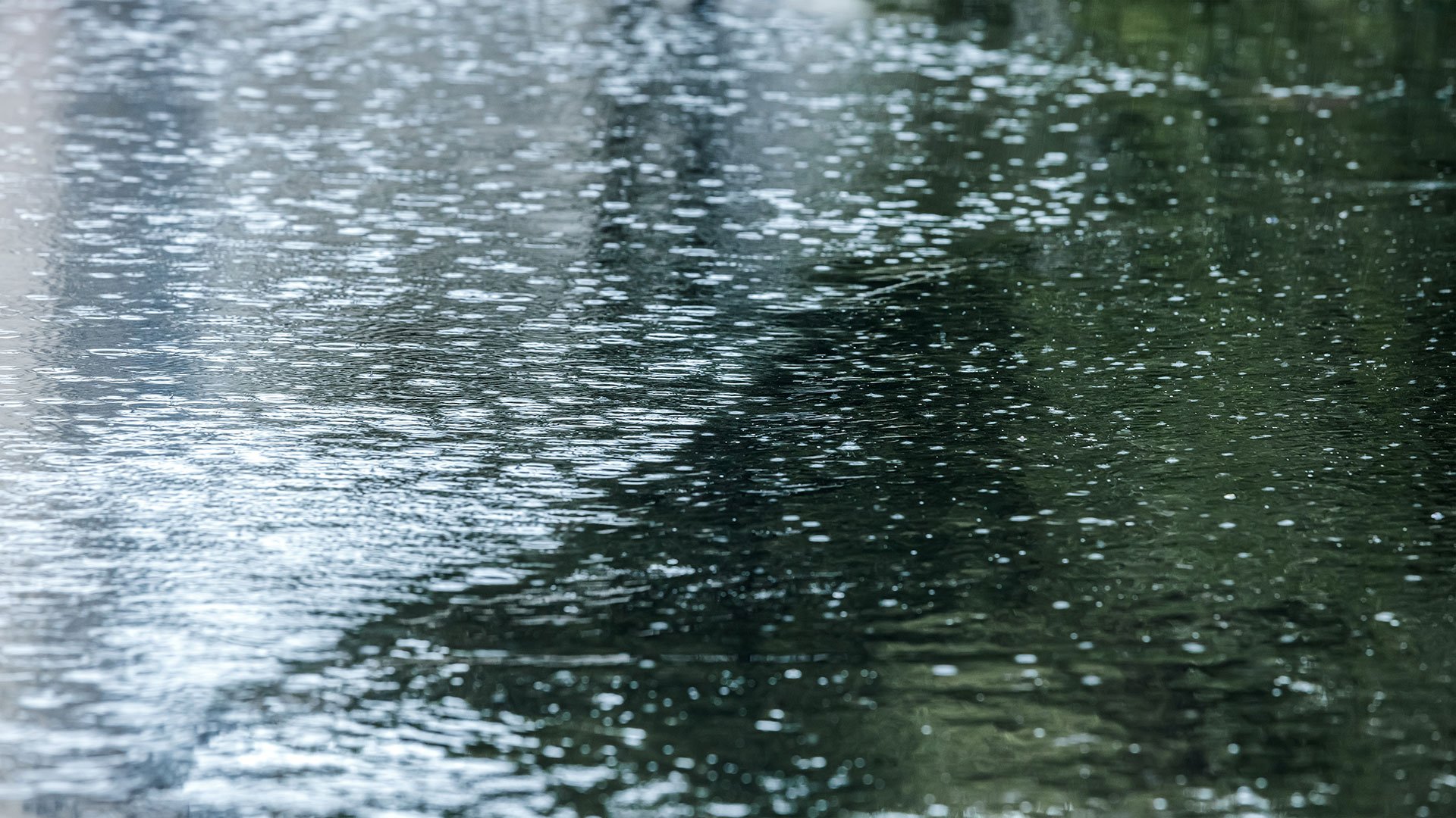 IDF-led partners co-developed Lagos flood insurance