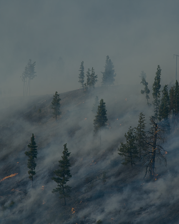 GOV-fire-card-background