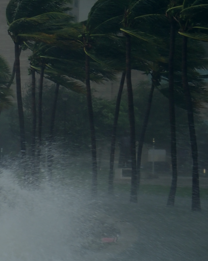 GOV-wind-card-background