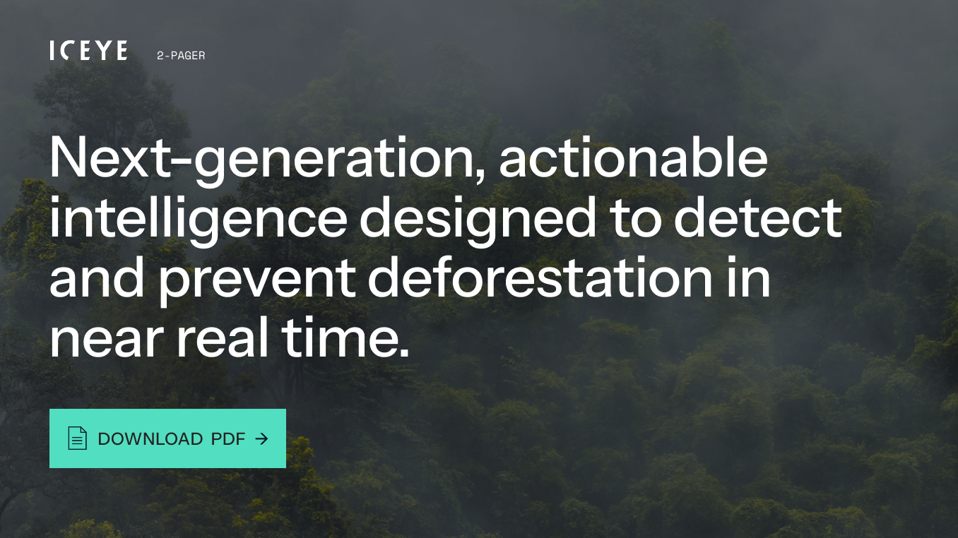 Deforestation-2-pager-in-text-ad-blog-post