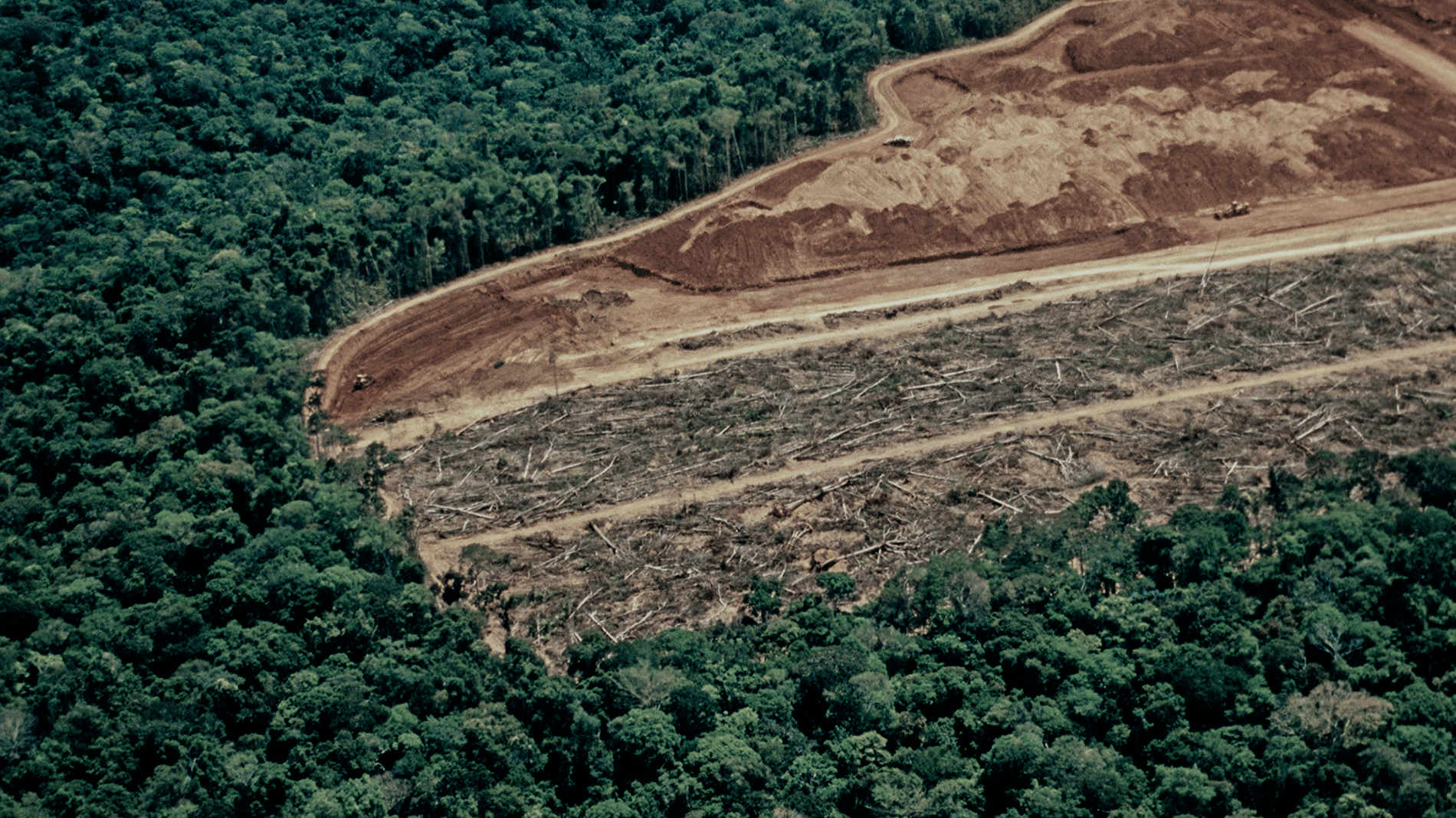 ICEYE launches Deforestation Monitoring Solution