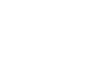 ICEYE-Systems-Logo-white