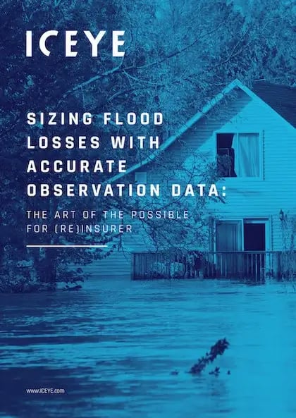 ICEYE Sizing Losses eBook