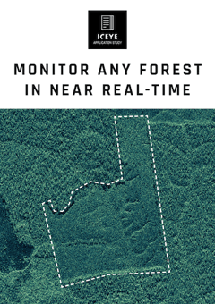 ICEYE_forest_monitoring_download_cover