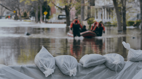 Flood Ready: How insurers can act faster with satellite insights