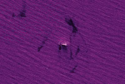 SAR Satellite Imagery