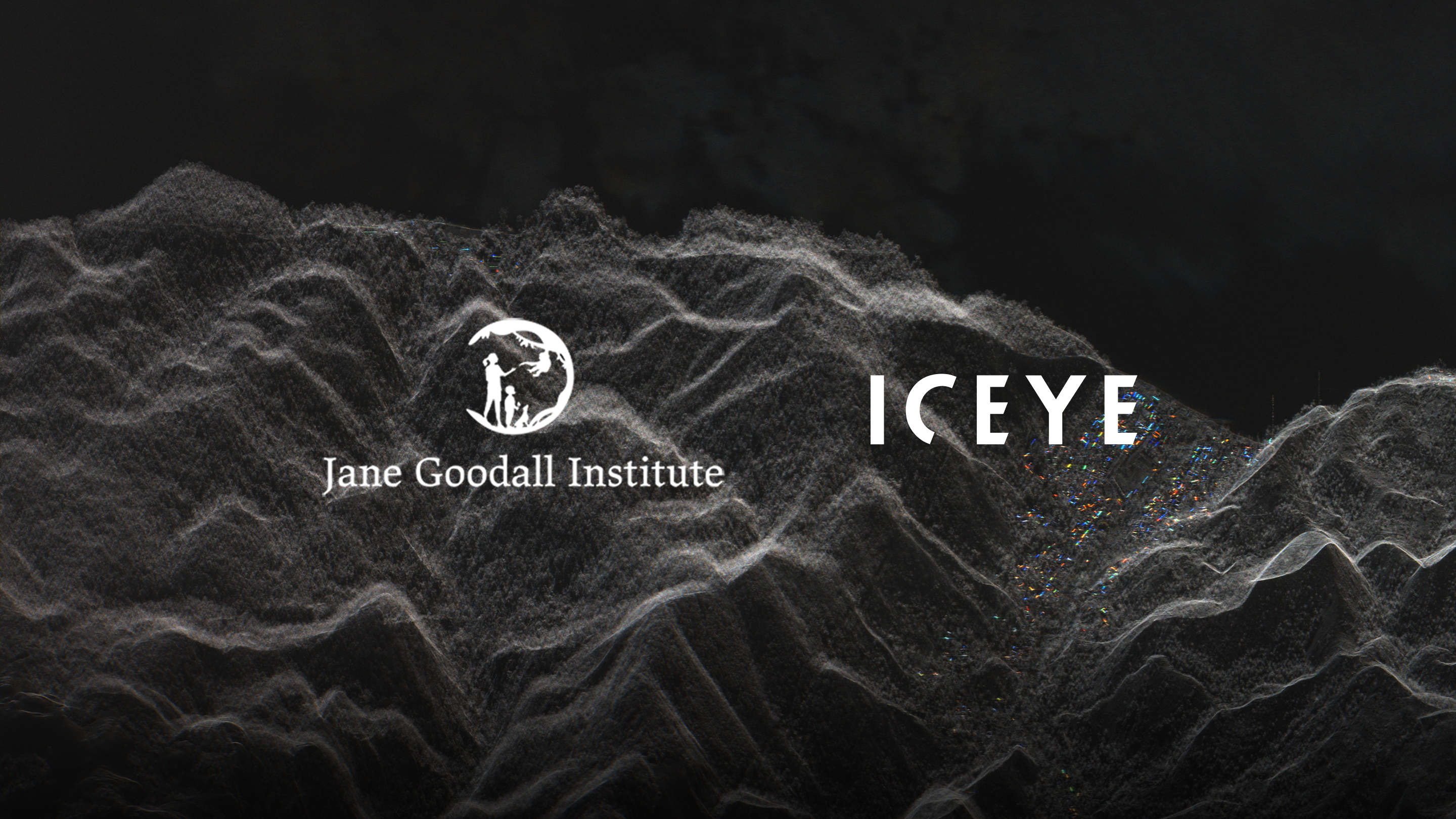 ICEYE & Jane Goodall: SAR-based deforestation monitoring