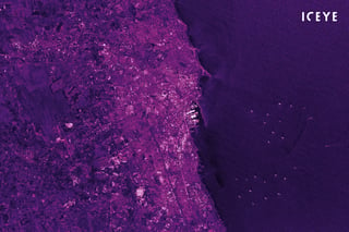 casablanca-purple-1600c