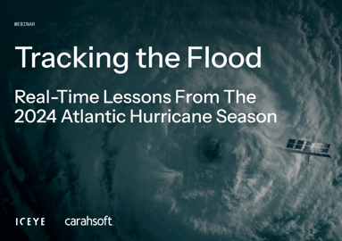 Optimize your disaster response  using (SAR) data 