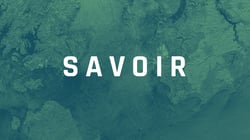 Tasking, working with SAR data thumbnails Work-with-ICEYE-data-SAVOIR