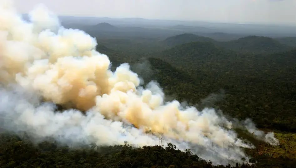 ICEYE's Deforestation Monitoring featured in Reuters