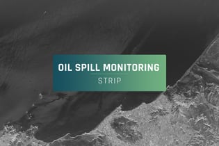 Dataset feature Peru oil spill