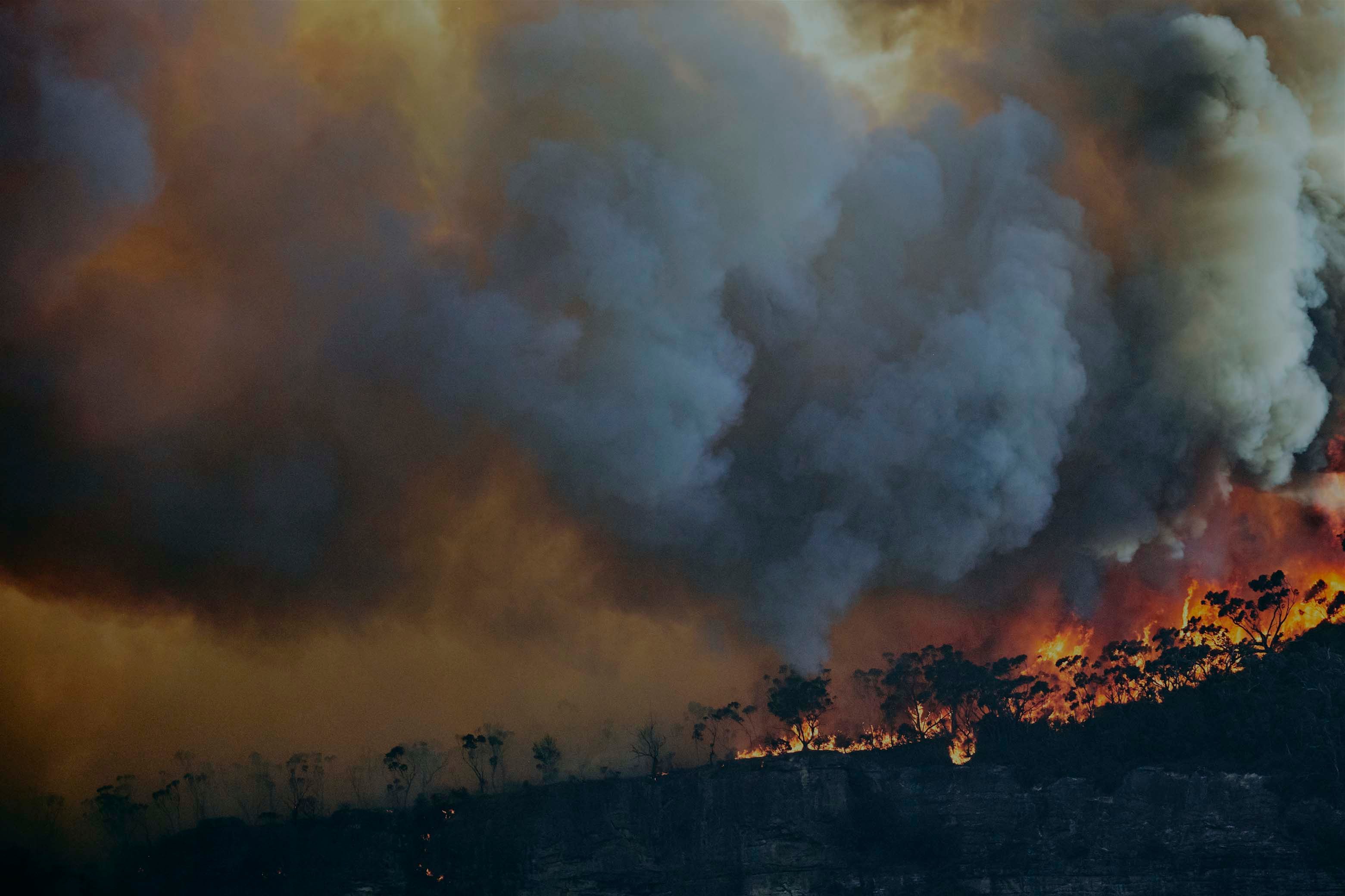 Background image with wildfire