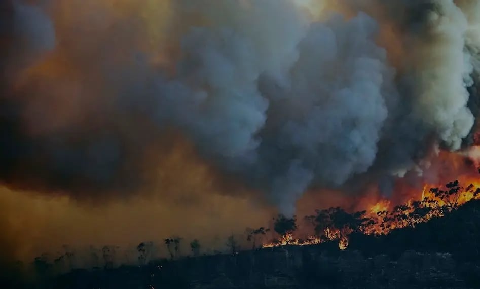 Wildfire-GettyImages-1192659783