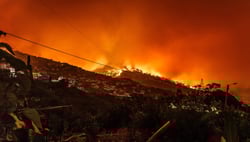 Wildfire-hero-2-1