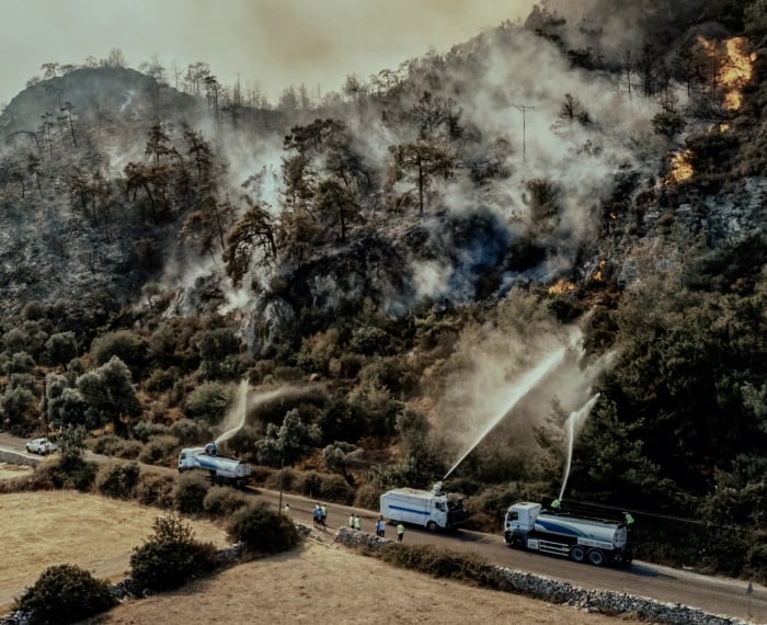 Wildfire_public-sector-response_content-bg_half