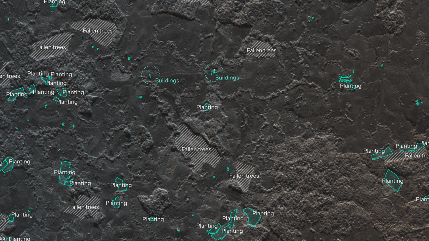 deforestation-SAR-colombia-wide-upscaled