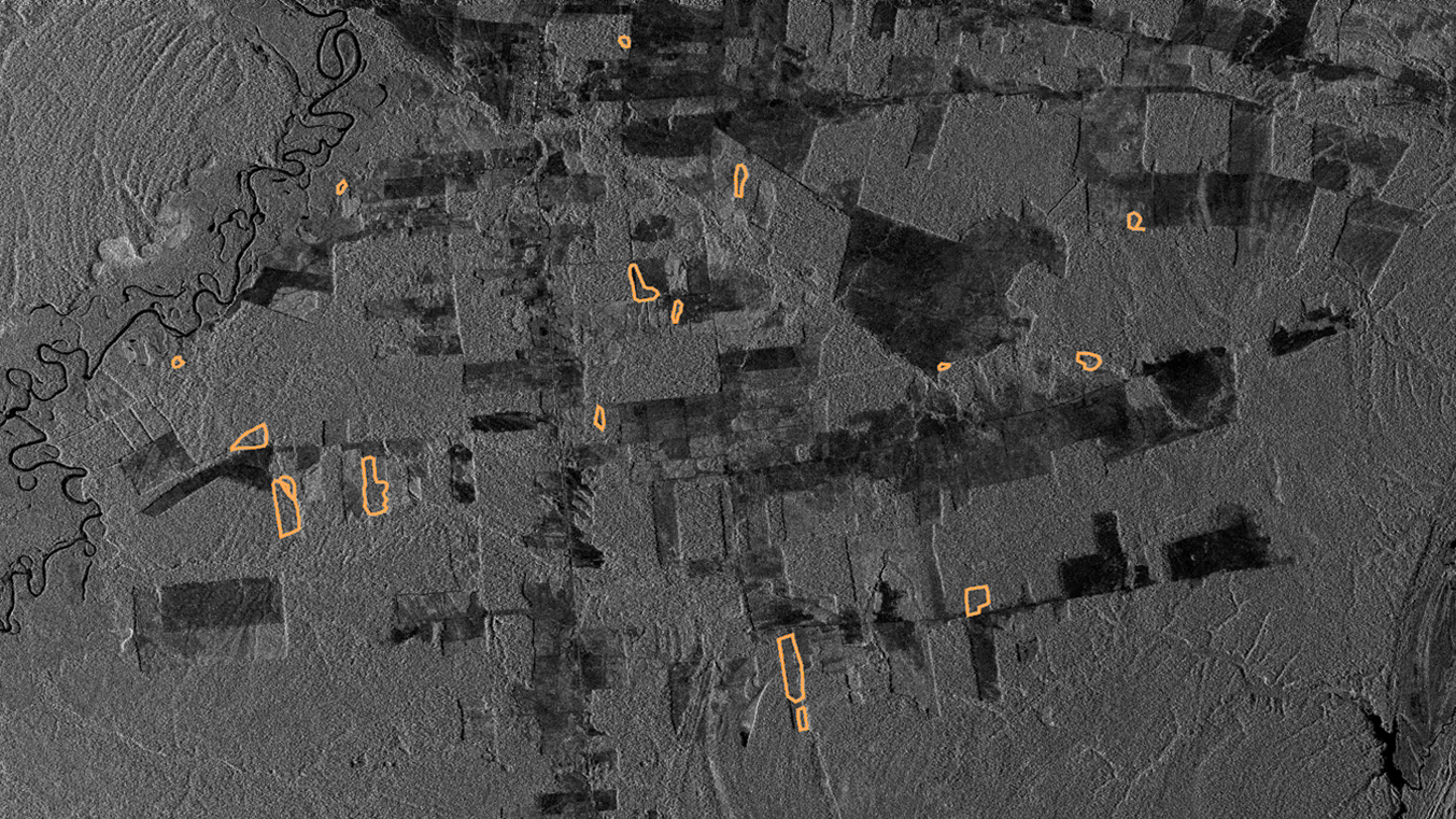 A black and white SAR image showing orange deforestation detection polygons. 