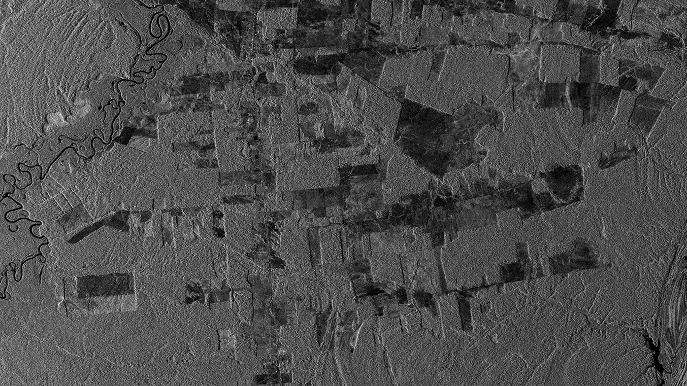 A black and white SAR image. 