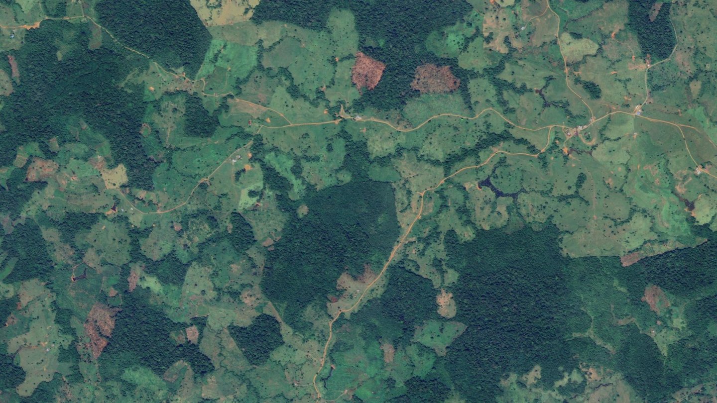 deforestation-optical-colombia-wide