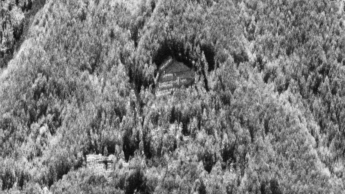 dwell_forest_reduced-1