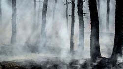 iceye-perils-wildfire404