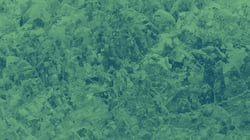 DOWNLOAD SAR DATASETS