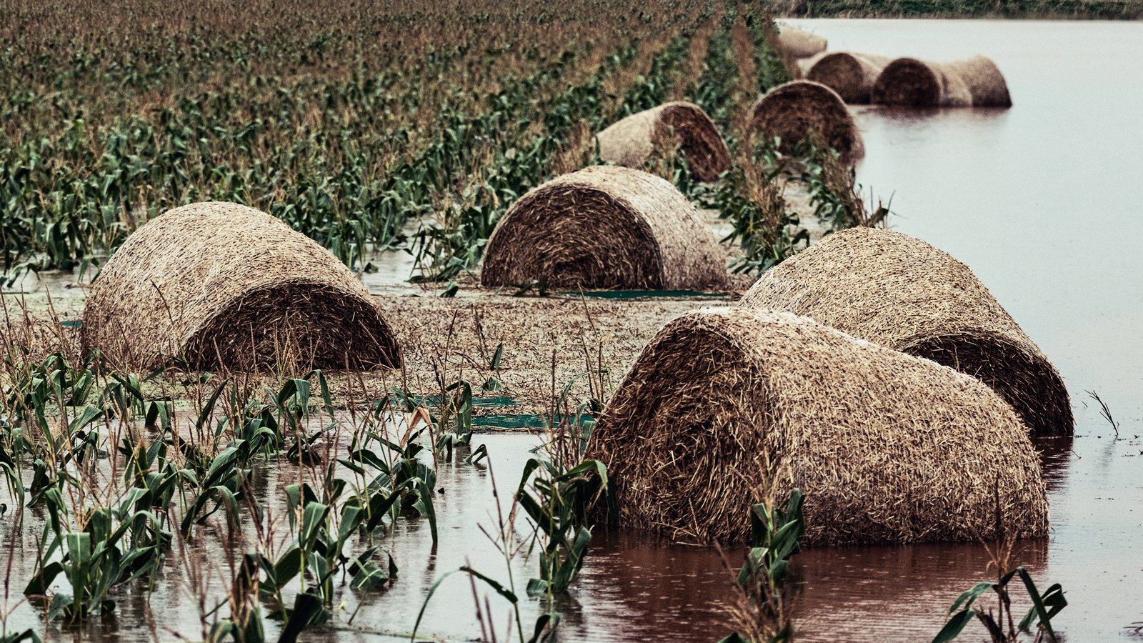 Solutions-Insurance-Agriculture_Flood