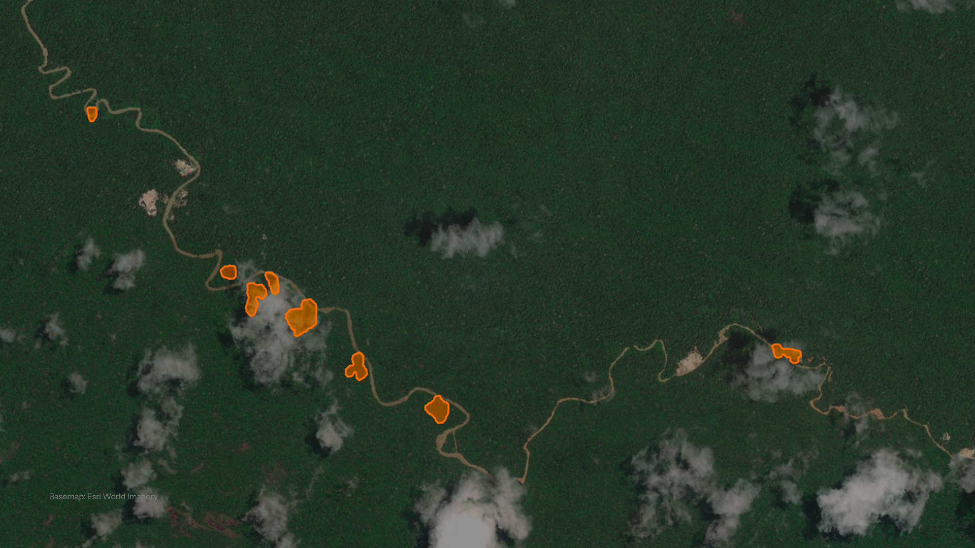 ICEYE’s Deforestation Solution: 9 Essential Questions