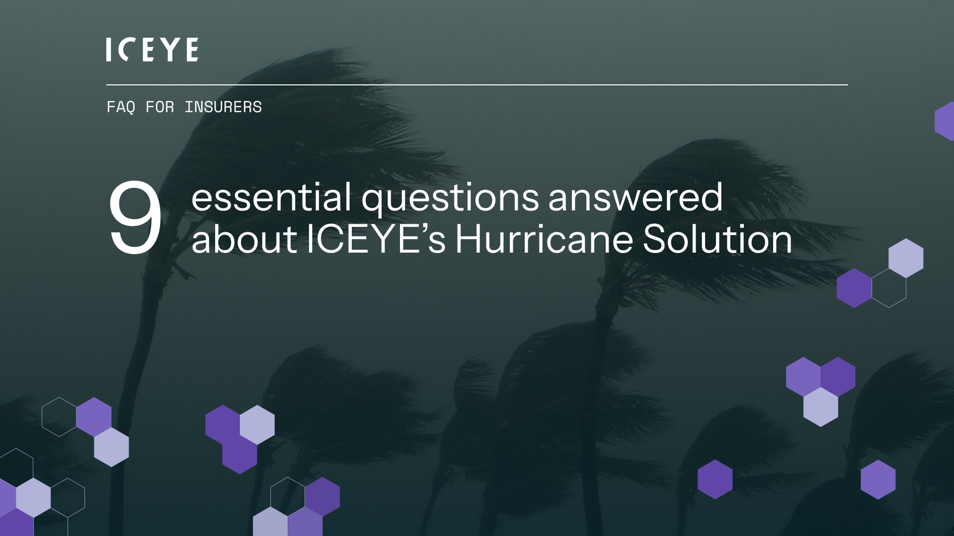 Hurricane Solution FAQ for insurers