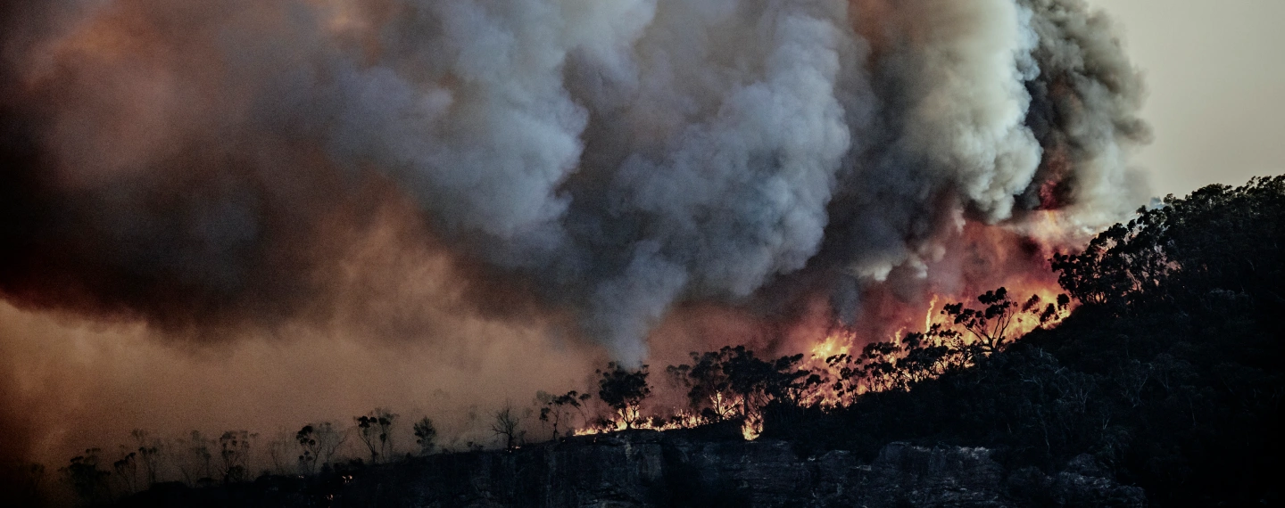 Wildfire_Colorado-Calwood_content-bg_full