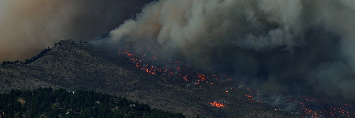 Wildfire_Colorado-Calwood_full_medium