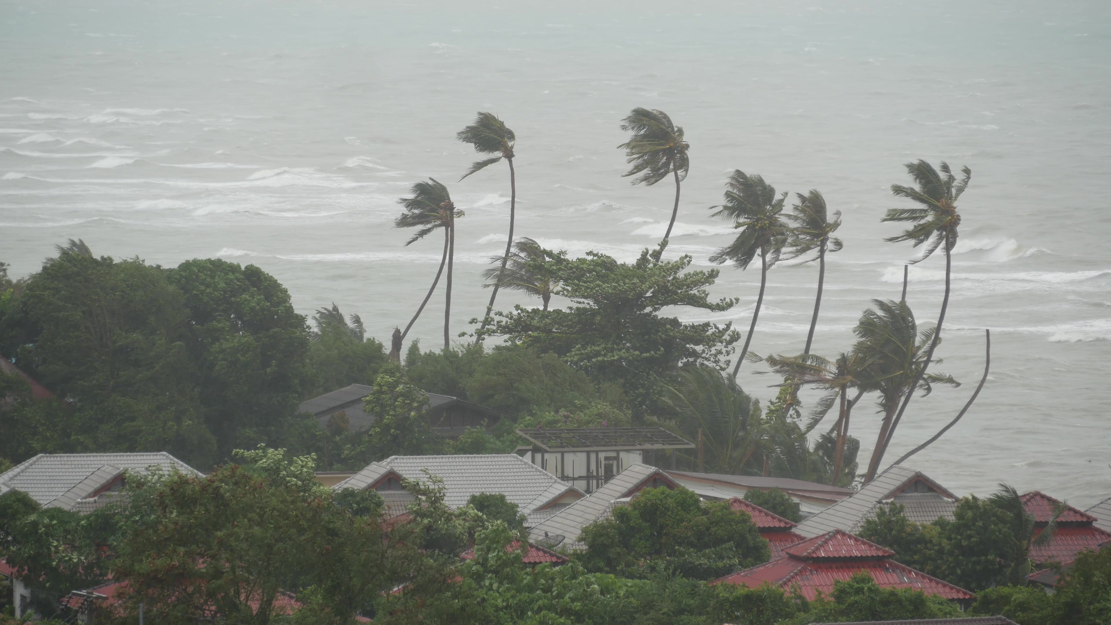 natural_disaster-typhoon-hurricane-storm