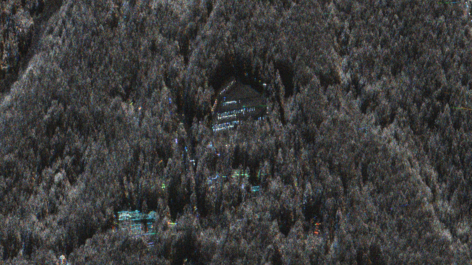 SAR image forrest