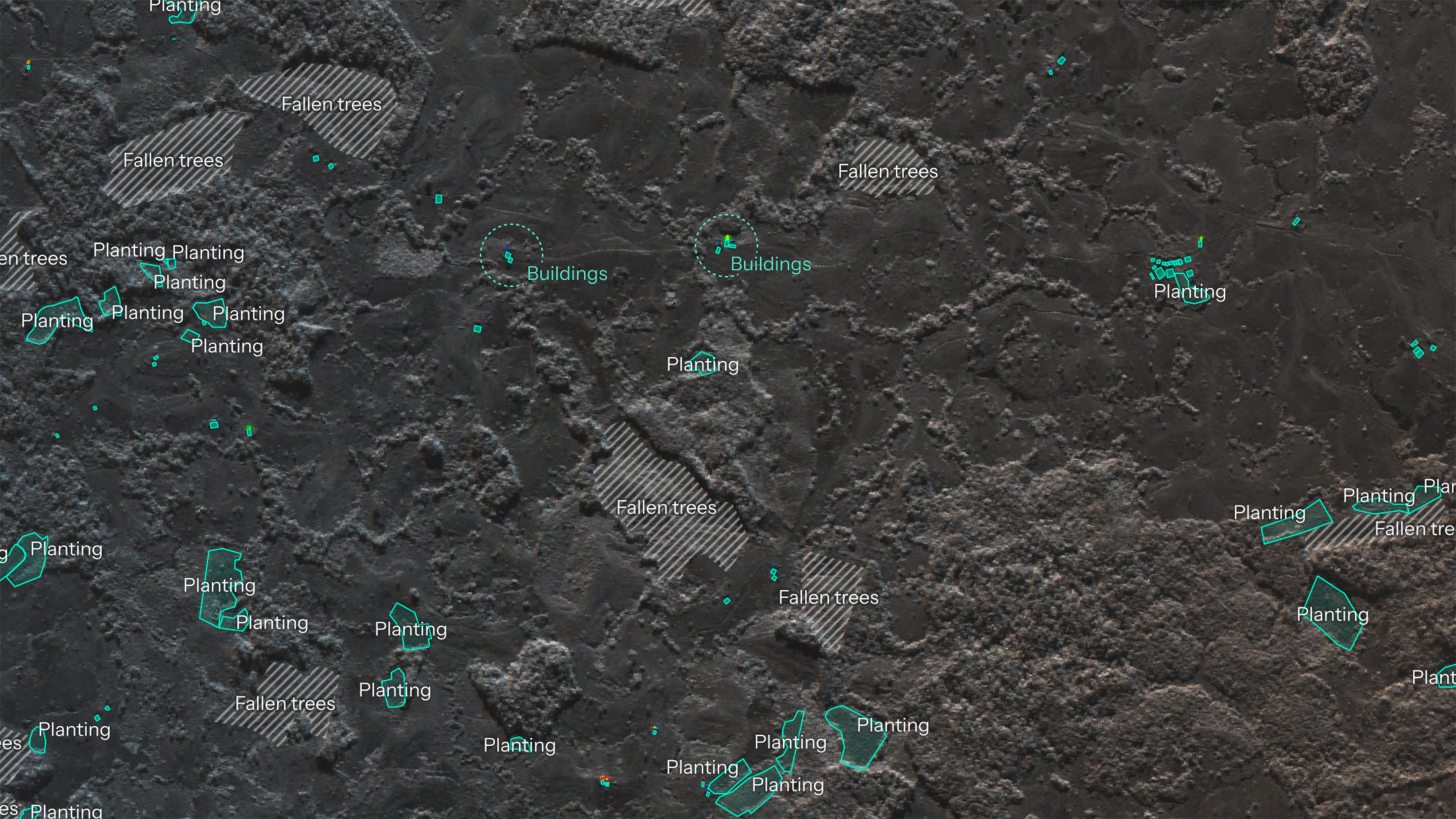 Characterising illegal deforestation activity in the Amazon with high-resolution SAR