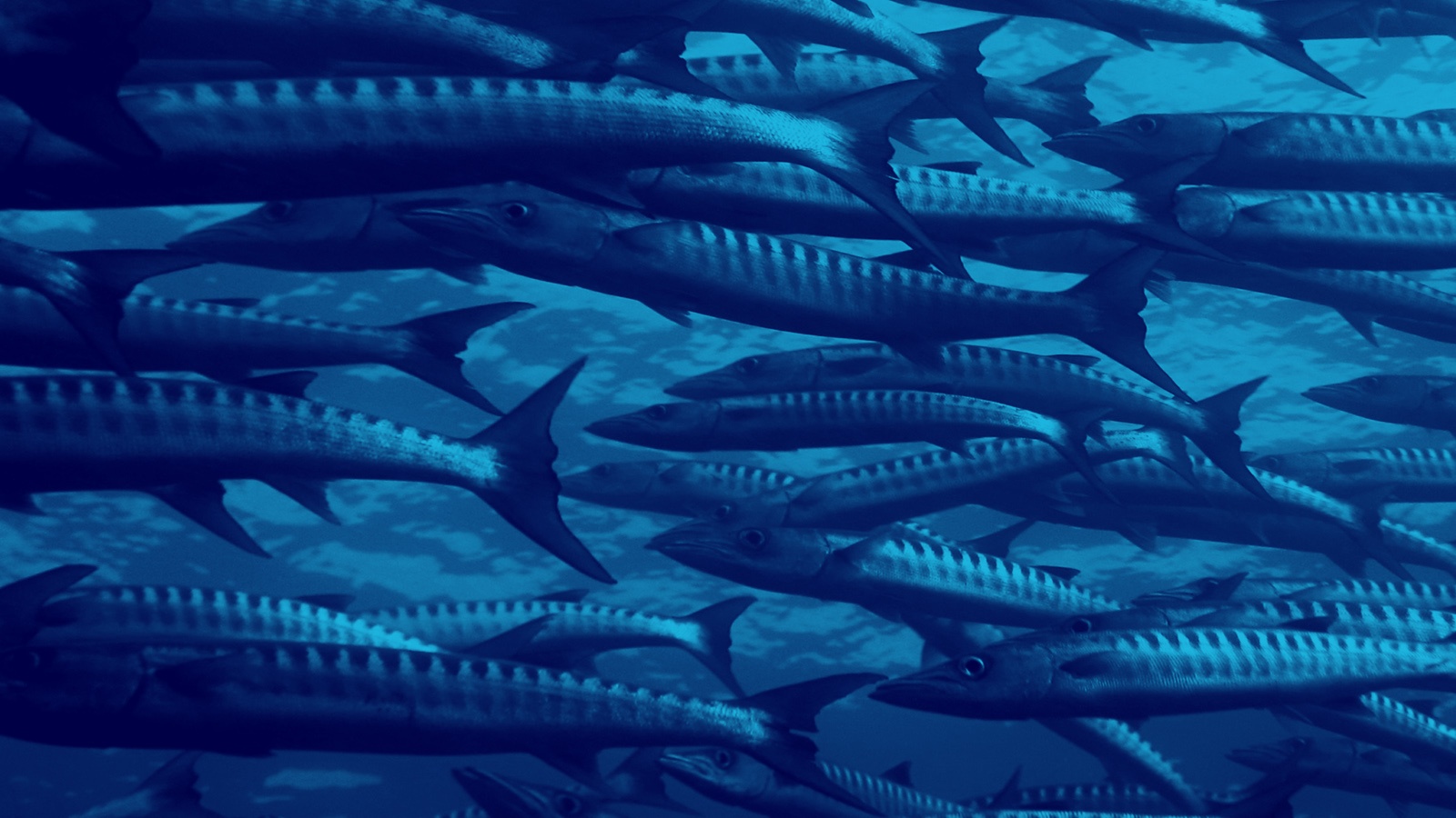 Prevention of Illegal Fishing