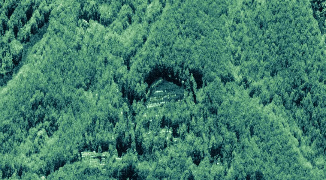 Trees